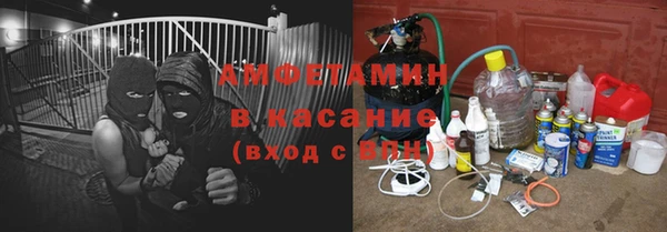 индика Бронницы