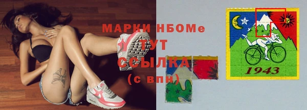 индика Бронницы