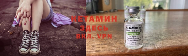 индика Бронницы