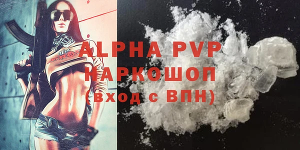 индика Бронницы