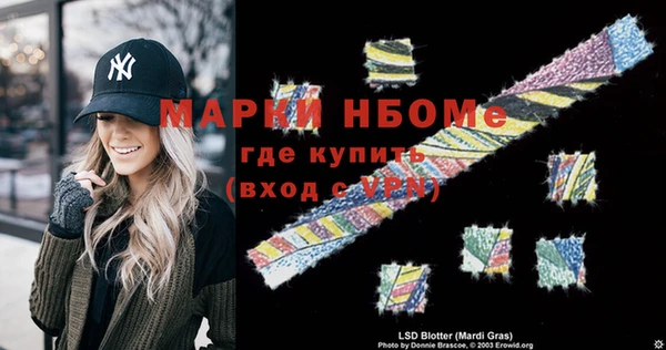 индика Бронницы