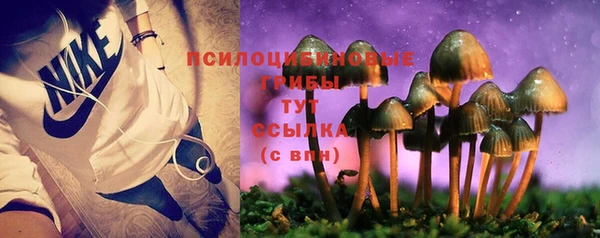 индика Бронницы