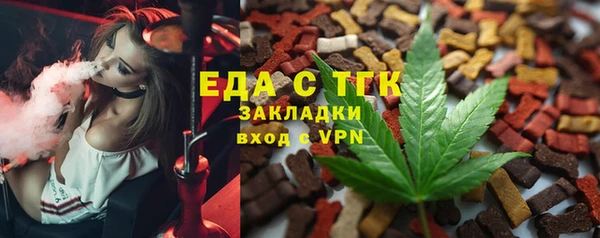 индика Бронницы