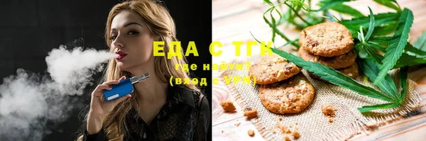 индика Бронницы